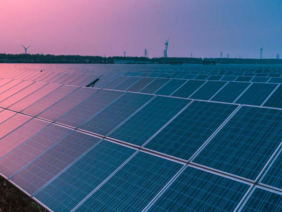 Vertical farming Vertical farming